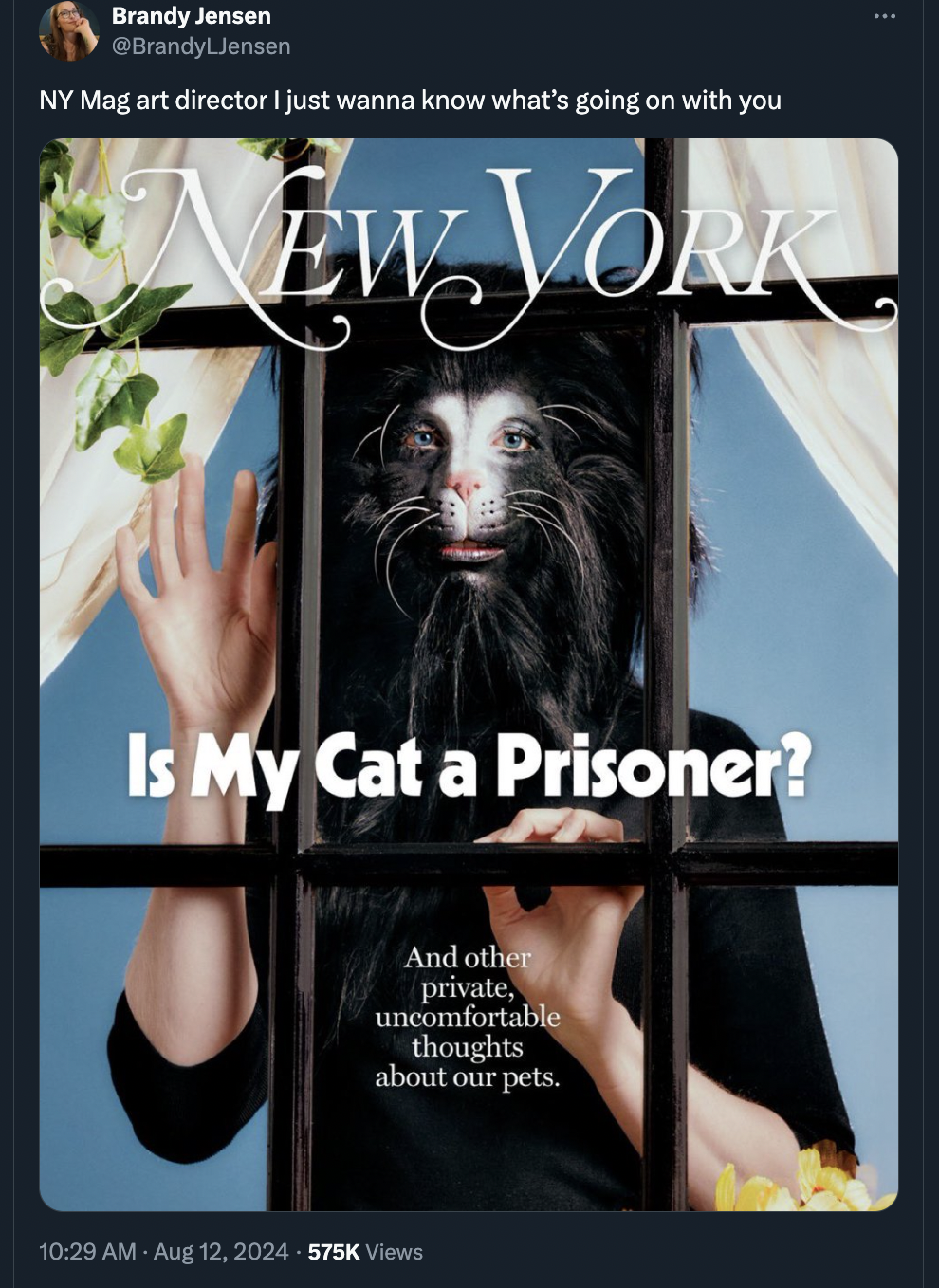 album cover - Brandy Jensen Jensen Ny Mag art director I just wanna know what's going on with you New York Is My Cat a Prisoner? And other private, uncomfortable thoughts about our pets. Views